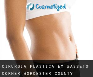 cirurgia plástica em Bassets Corner (Worcester County, Massachusetts)