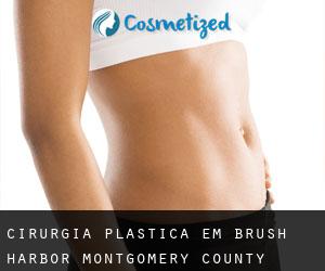 cirurgia plástica em Brush Harbor (Montgomery County, Virginia)