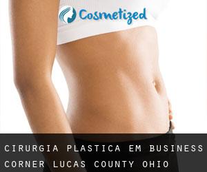 cirurgia plástica em Business Corner (Lucas County, Ohio)