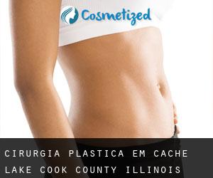 cirurgia plástica em Cache Lake (Cook County, Illinois)