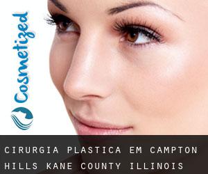 cirurgia plástica em Campton Hills (Kane County, Illinois)