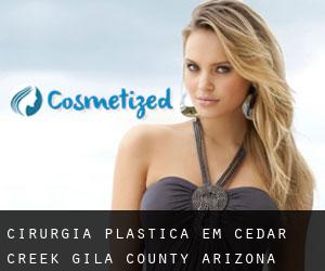 cirurgia plástica em Cedar Creek (Gila County, Arizona)