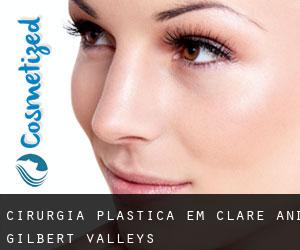 cirurgia plástica em Clare and Gilbert Valleys