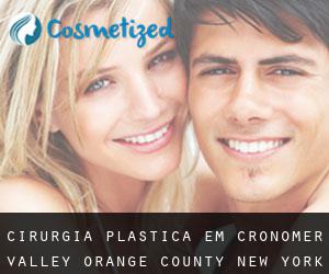 cirurgia plástica em Cronomer Valley (Orange County, New York)