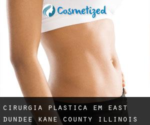 cirurgia plástica em East Dundee (Kane County, Illinois)