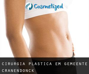 cirurgia plástica em Gemeente Cranendonck