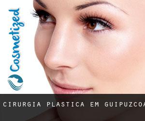 cirurgia plástica em Guipuzcoa