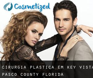 cirurgia plástica em Key Vista (Pasco County, Florida)