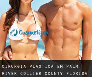 cirurgia plástica em Palm River (Collier County, Florida)