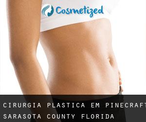 cirurgia plástica em Pinecraft (Sarasota County, Florida)