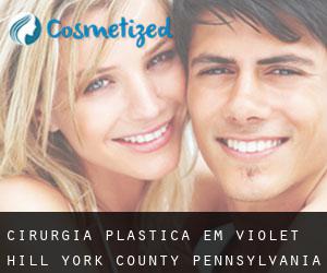 cirurgia plástica em Violet Hill (York County, Pennsylvania)