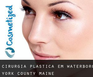 cirurgia plástica em Waterboro (York County, Maine)
