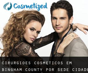cirurgiões cosméticos em Bingham County por sede cidade - página 1