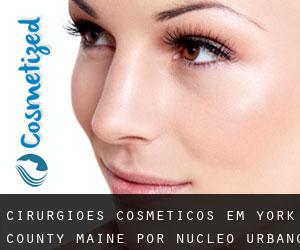 cirurgiões cosméticos em York County Maine por núcleo urbano - página 2