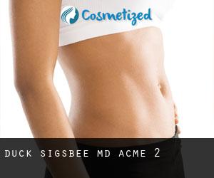Duck Sigsbee MD (Acme) #2